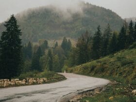 Top 10 Atracții Turistice de pe Valea Prahovei – Descoperă Frumusețile Munților Carpați 🏞️🏔️ 60 localinfo.ro top 10 atractii turistice de pe valea prahovei descopera frumusetile muntilor carpati