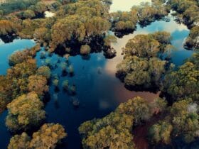 🌊 Top 10 Zone Inundabile din România de Care Să Te Ferești 🌧️ 45 localinfo.ro top 10 zone inundabile din romania de care sa te feresti