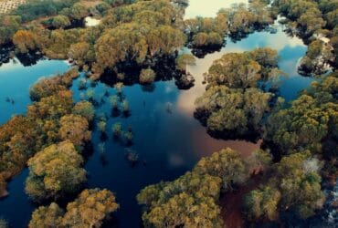 🌊 Top 10 Zone Inundabile din România de Care Să Te Ferești 🌧️ 69 localinfo.ro top 10 zone inundabile din romania de care sa te feresti