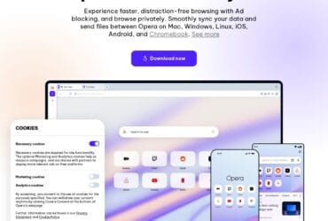 Opera Browser: Alegerea ideală pentru o navigare rapidă și sigură! 51 localinfo.ro opera browser windows mac linux android ios opera
