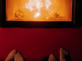 Piața Globală a Cazanelor pe Biomasă: Creștere de 8.5% Estimată Anual Până în 2030 63 localinfo.ro piata globala a cazanelor pe biomasa crestere de 8 5 estimata anual pana in 2030