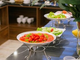 localinfo.ro restaurante vegane ghid complet pentru a gasi mancare delicioasa