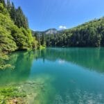 localinfo.ro ciorna automata