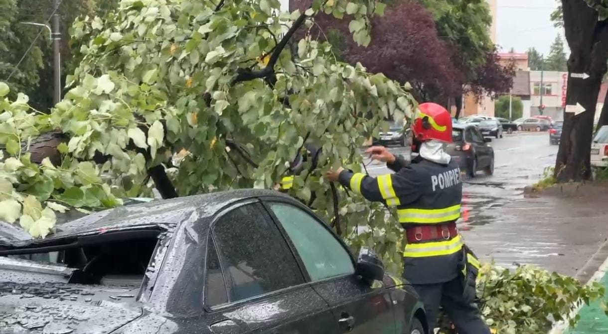 Cod Roșu la Timișoara: Un copac uriaș a strivit un Audi | FOTO 28 localinfo.ro cod rosu la timisoara un copac urias a strivit un audi foto 2