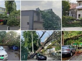 localinfo.ro dezastru in bucuresti furtuna de cod rosu a doborat zeci de copaci masini distruse si strazi blocate