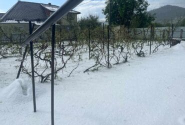 Dezastru în Neamț: Grindina a distrus totul la Vânători, în timp ce sistemul de protecție rămâne nefuncțional 72 Sursa: Meteoplus Facebook