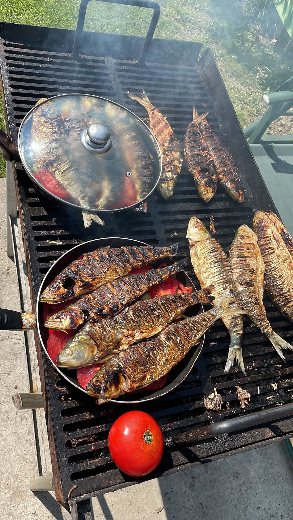 Mancare Delta Dunarii: Ghidul Celei Mai Gustoase Mese 28 localinfo.ro mancare delta dunarii ghidul celei mai gustoase mese 1