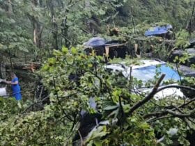 Sinaia, ora 13:00: Imagini noi cu dezastrul lăsat în urmă de furtună 51 localinfo.ro sinaia ora 1300 imagini noi cu dezastrul lasat in urma de furtuna 1