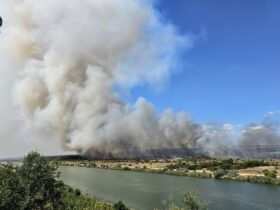 ALERTĂ în Constanța: Incendiu Puternic de Vegetație la Medgidia. Fum Dens și Flăcări Violente sub Cod Galben de Caniculă 54 localinfo.ro alerta in constanta incendiu puternic de vegetatie la medgidia fum dens si flacari violente sub cod galben de canicula