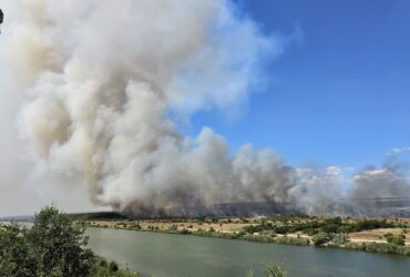 ALERTĂ în Constanța: Incendiu Puternic de Vegetație la Medgidia. Fum Dens și Flăcări Violente sub Cod Galben de Caniculă 39 localinfo.ro alerta in constanta incendiu puternic de vegetatie la medgidia fum dens si flacari violente sub cod galben de canicula